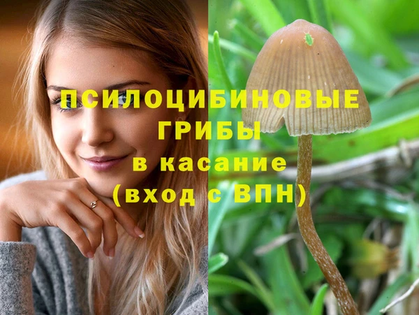 гидропоника Горнозаводск