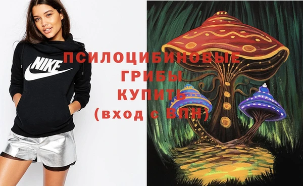 не бодяженный Горно-Алтайск