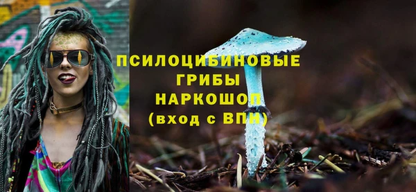 гидропоника Горнозаводск